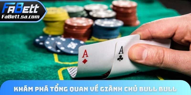 Khám phá tổng quan về giành chủ bull bull